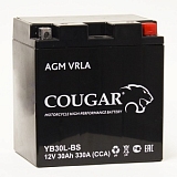 Cougar YB30L-BS 30 Ah